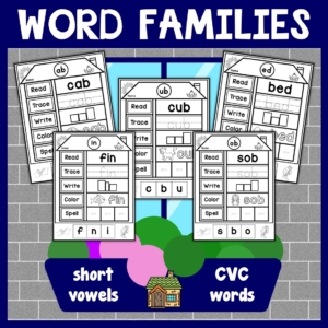 CVC Word Families Activity Worksheets
