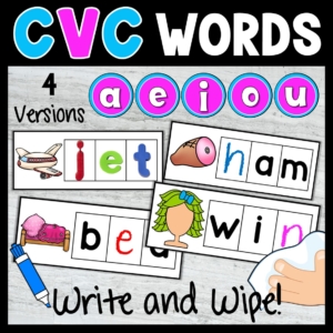 CVC Words Write and Wipe Cards