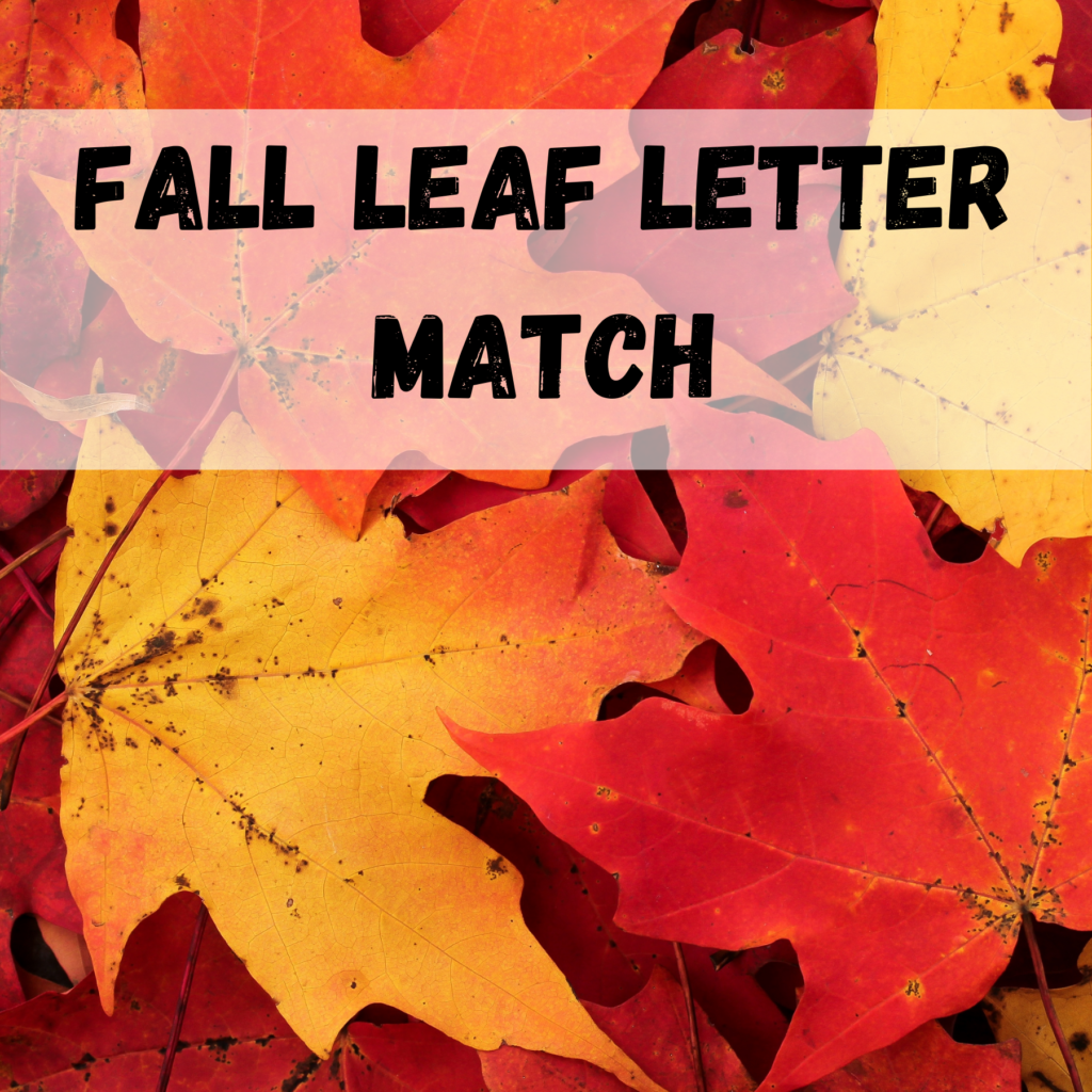alphabet practice fall leaf letter match activity