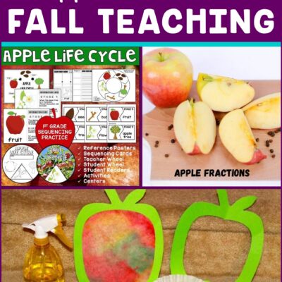 4 Apple Activities for Fall Teaching