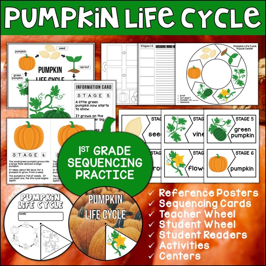 Pumpkin Life Cycle with text "First Grade Sequencing Practice"