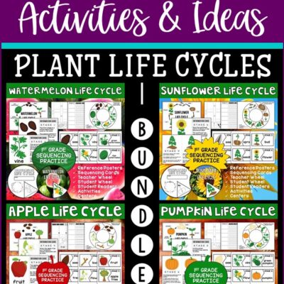 Three Ideas for Teaching Plant Life Cycles