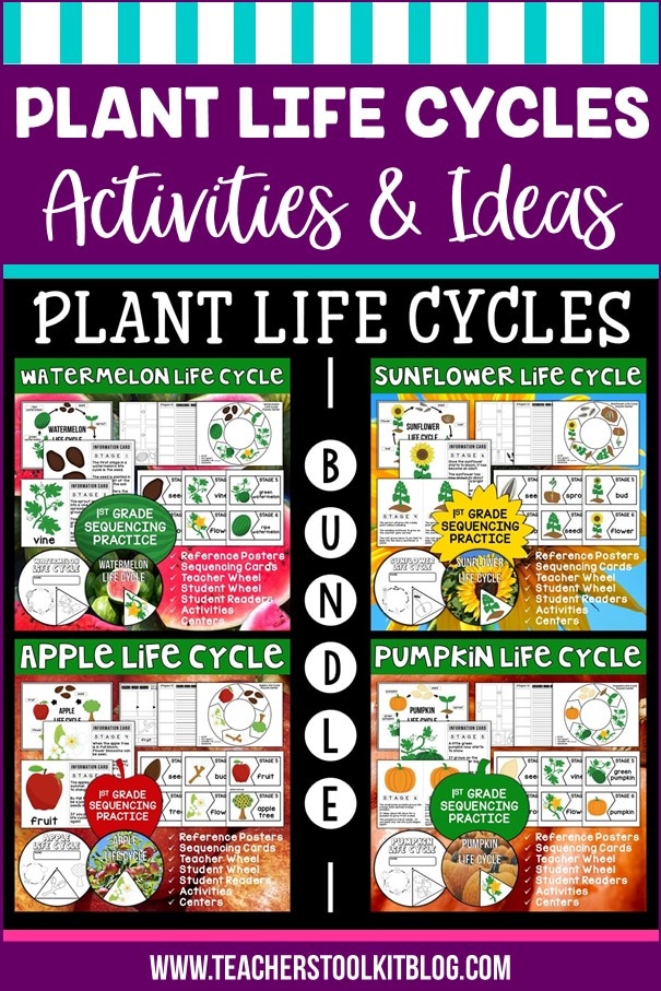 Images of the Watermelon Life Cycle; The Sunflower Life Cycle; The Apple Life Cycle and The Pumpkin Life Cycle with text "Plant Life Cycles Activities and Ideas"