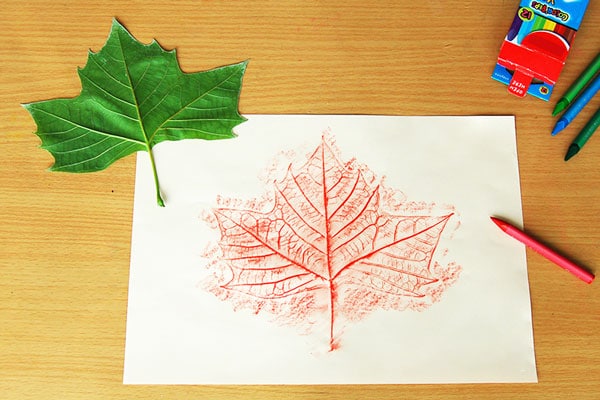 Image of leaf rubbing art.