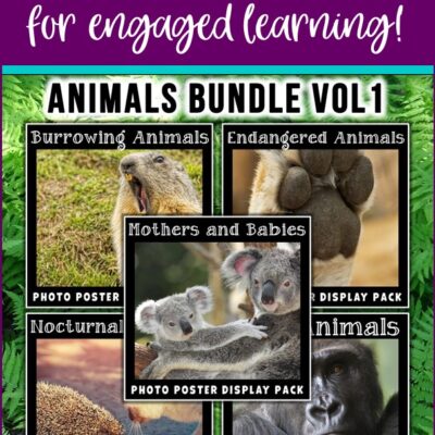 Use Awesome Animal Posters to Engage Your Students
