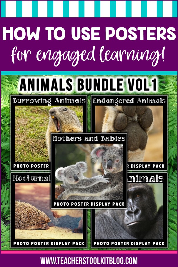 Use Awesome Animal Posters to Engage Your Students - Teacher's Toolkit Blog