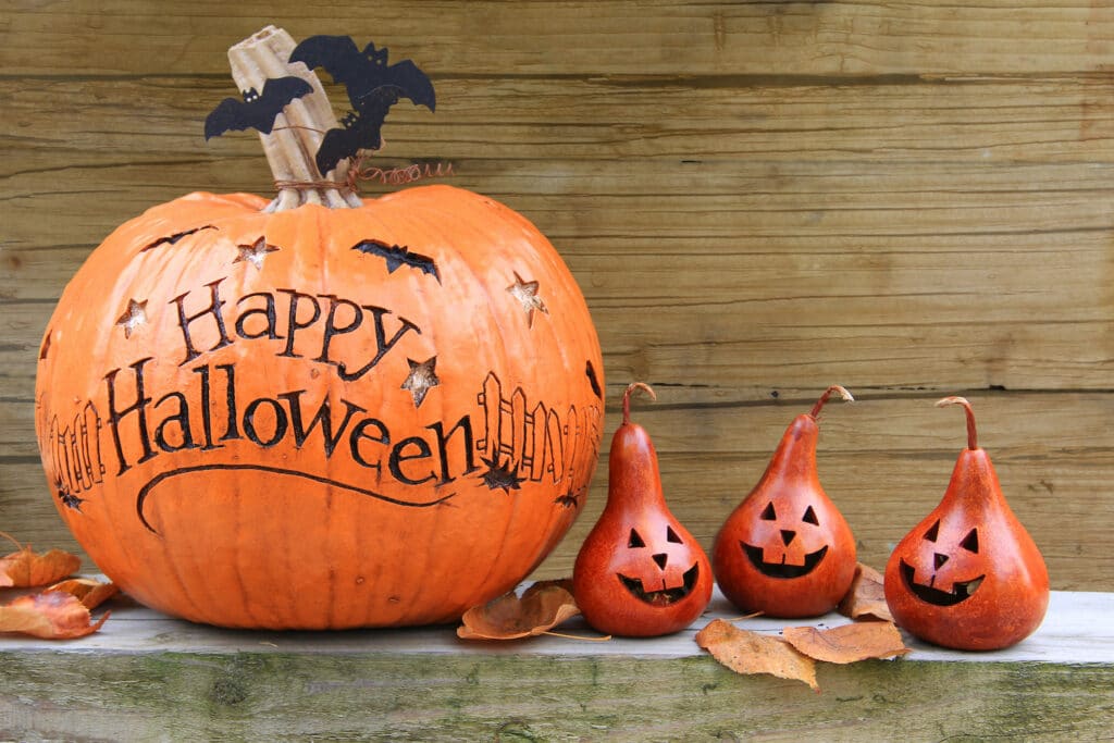 Image of pumpkins and gourds with text "Happy Halloween"