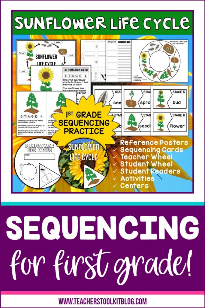 Image of the sunflower life cycle with text "Sequencing for first grade"
