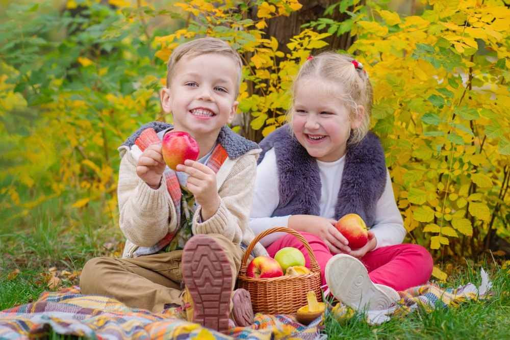 Image of children eating apples in fall. for thanksgiving math activities.